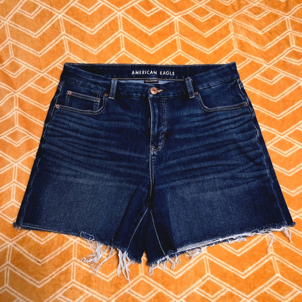 American Eagle Outfitters Blue Denim Shorts